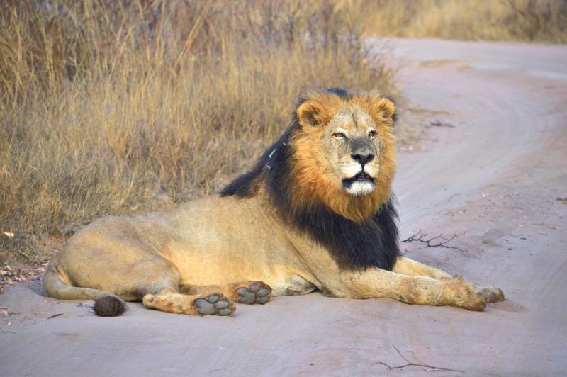 Fifty Seven Waterberg Lodge Vaalwater Luaran gambar